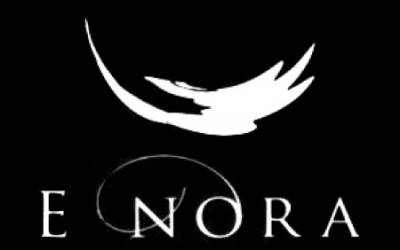 logo E Nora logo E Nora
